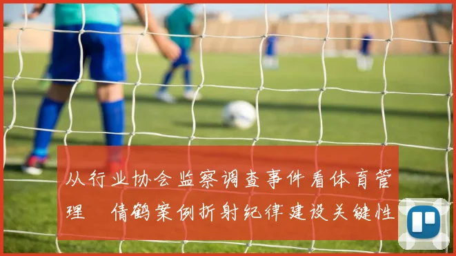 从行业协会监察调查事件看体育管理遆倩鹤案例折射纪律建设关键性